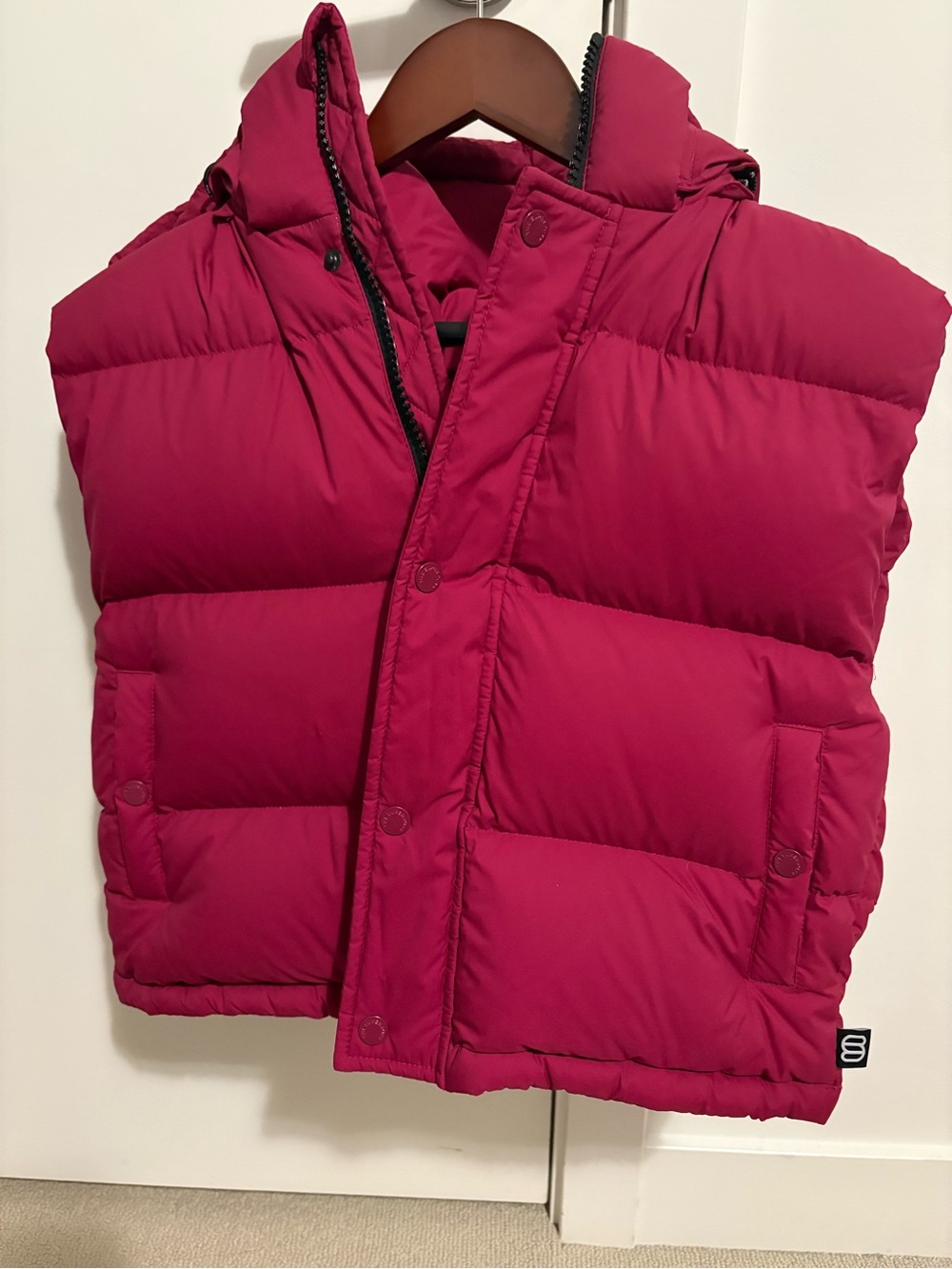 BNWT Aritzia Super Puff shorty vest